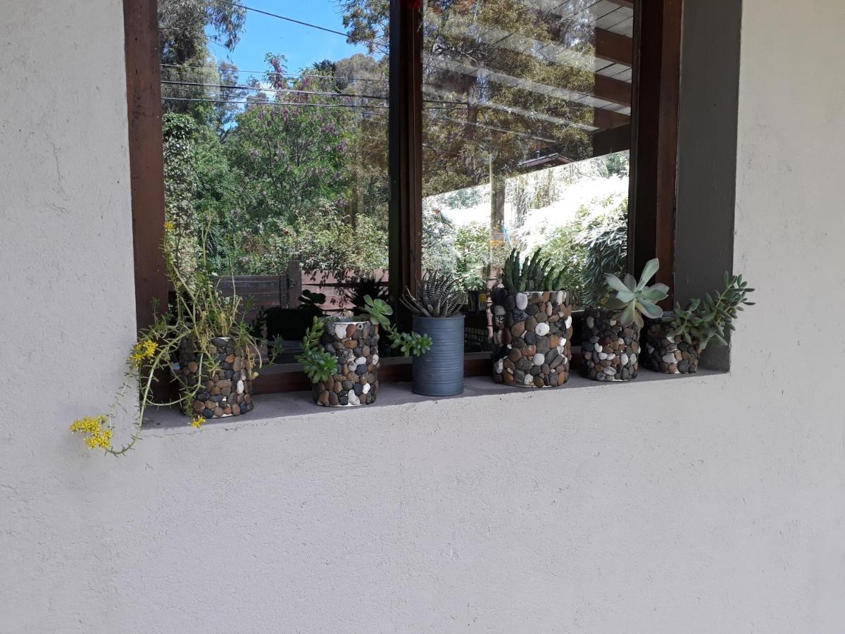 Las Cortaderas Bosque Peralta Ramos Mar del Plata Eksteriør bilde