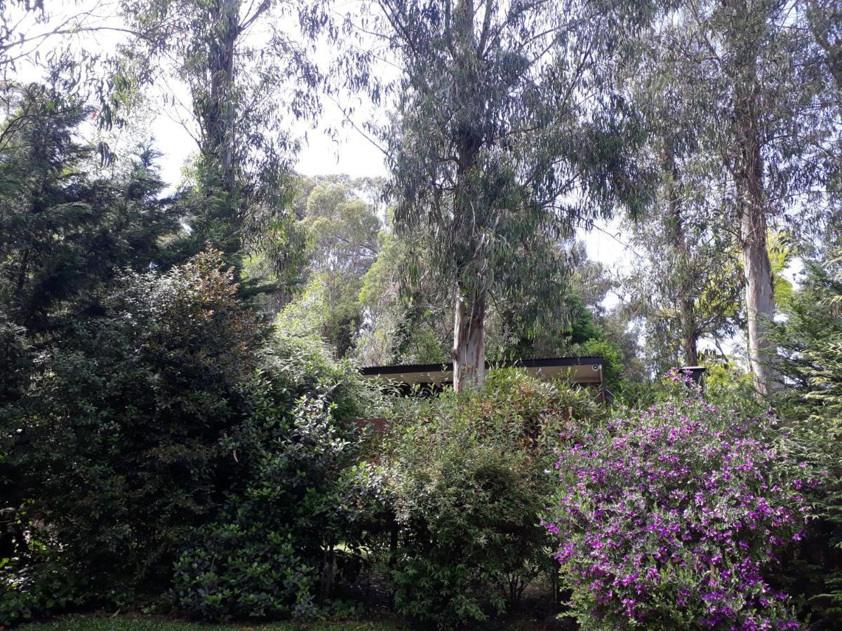 Las Cortaderas Bosque Peralta Ramos Mar del Plata Eksteriør bilde